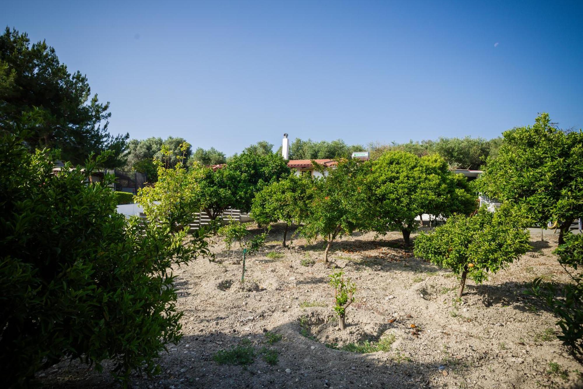 Villa Metochi Rethymno  Bagian luar foto